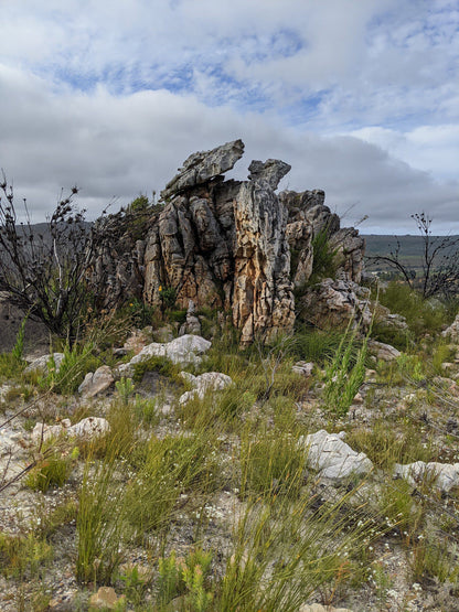 Green Mountain Trail