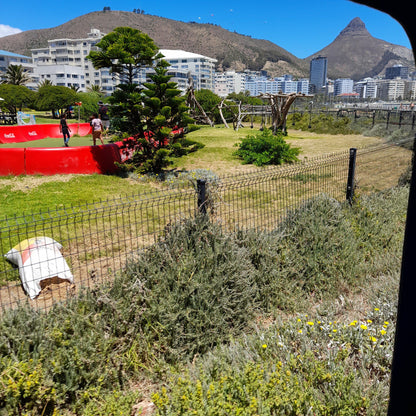  Green Point Lighthouse