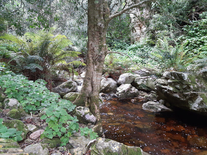  Greyton Nature Reserve - Start of Boesmanskloof Trail