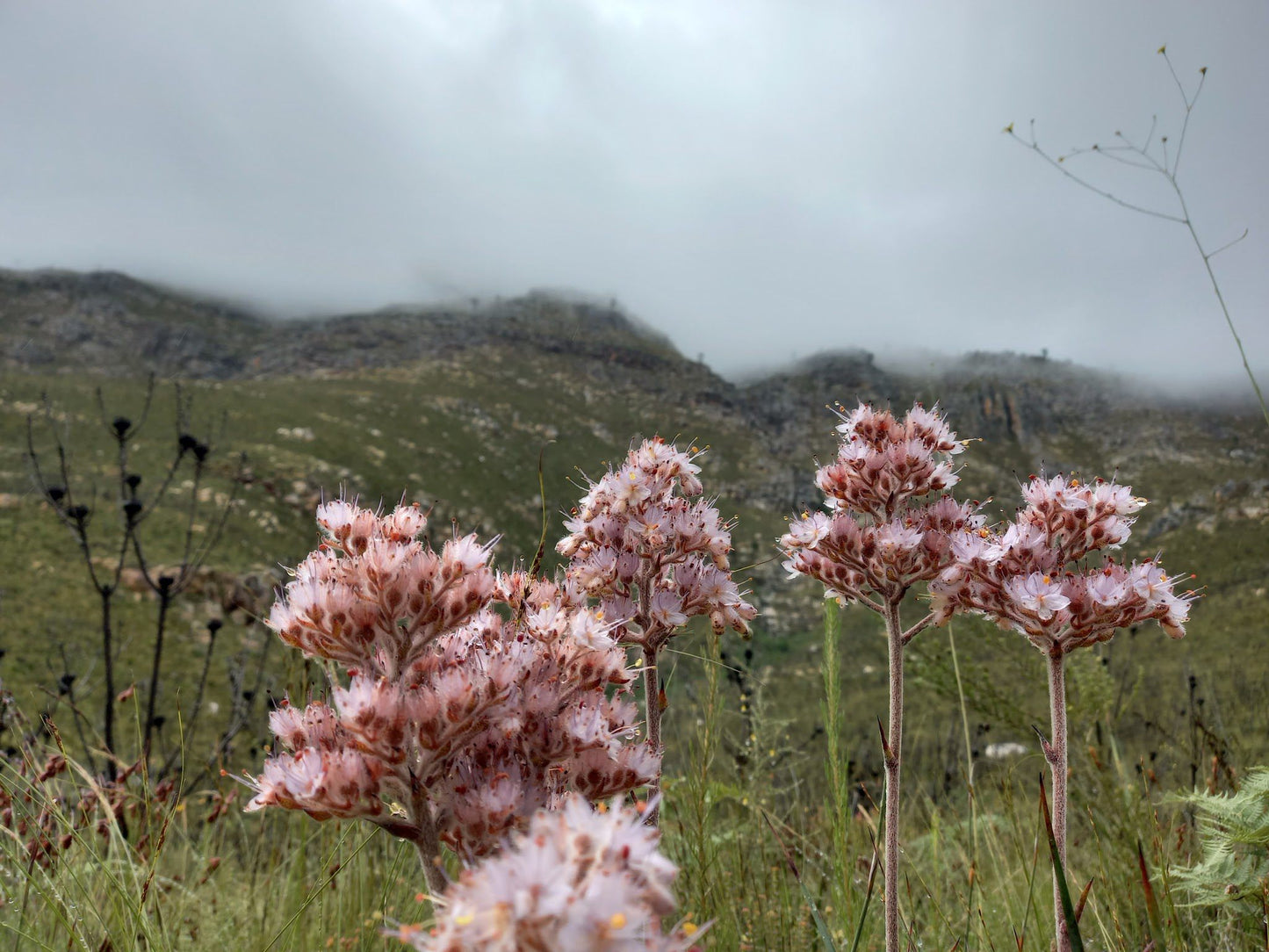  Greyton Nature Reserve - Start of Boesmanskloof Trail