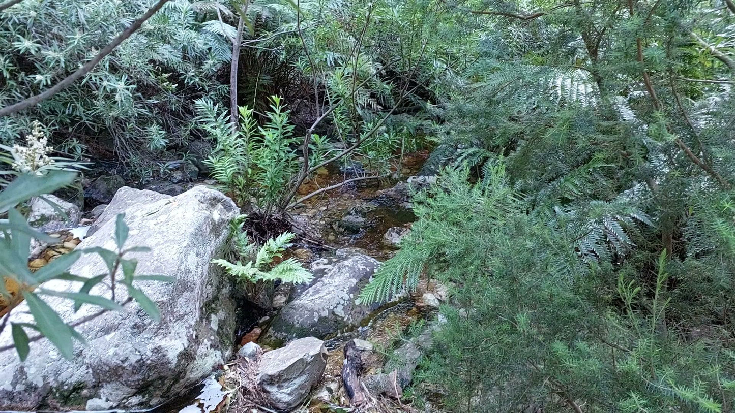  Greyton Nature Reserve - Start of Boesmanskloof Trail