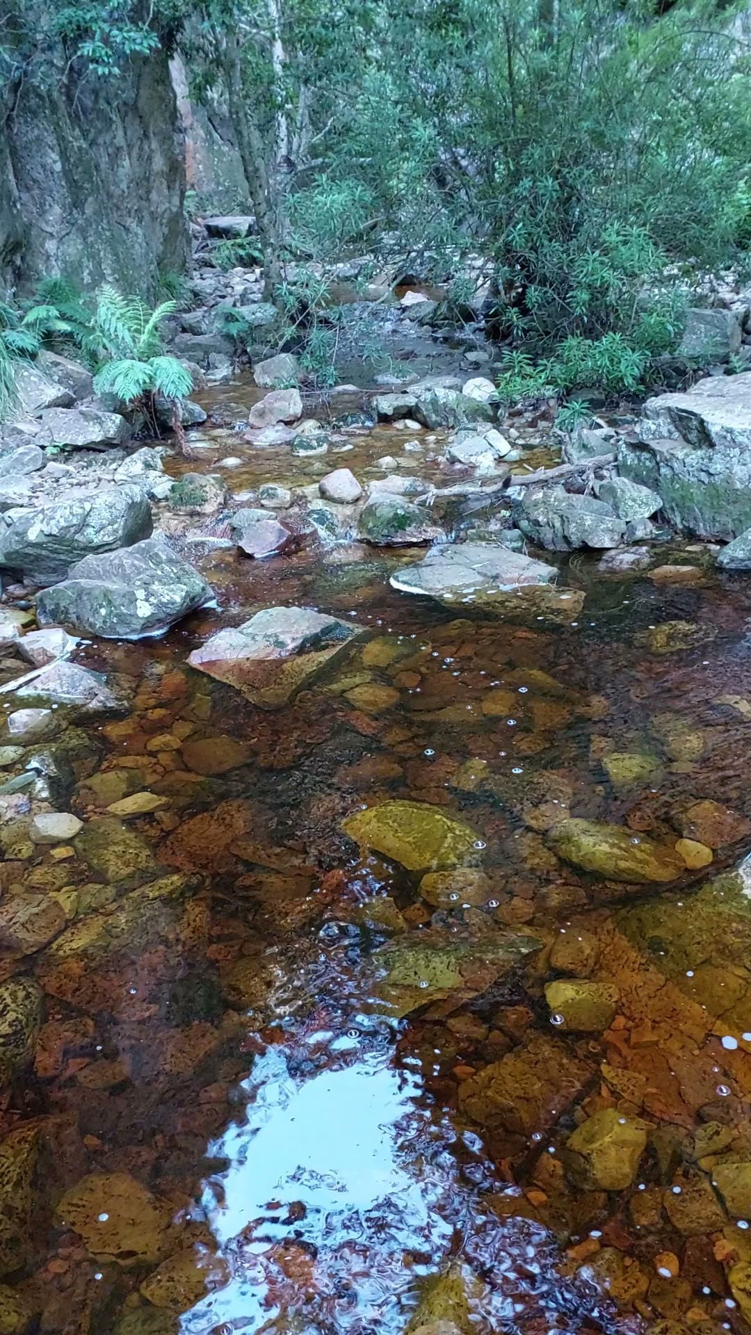  Greyton Nature Reserve - Start of Boesmanskloof Trail