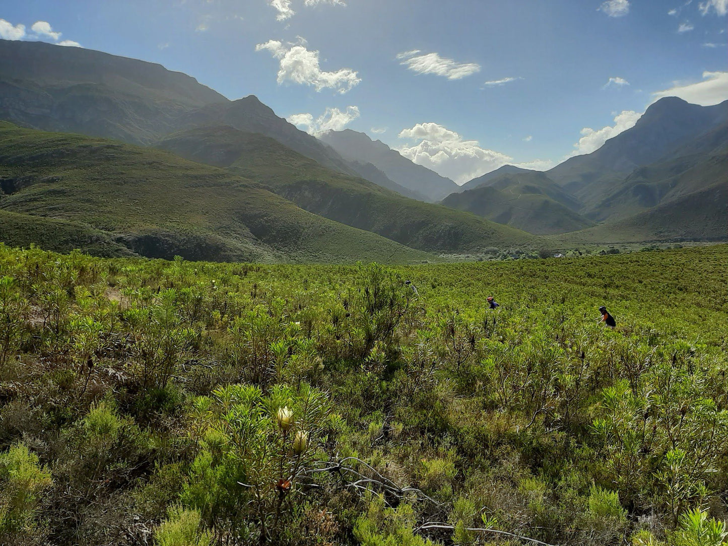  Greyton Nature Reserve - Start of Boesmanskloof Trail