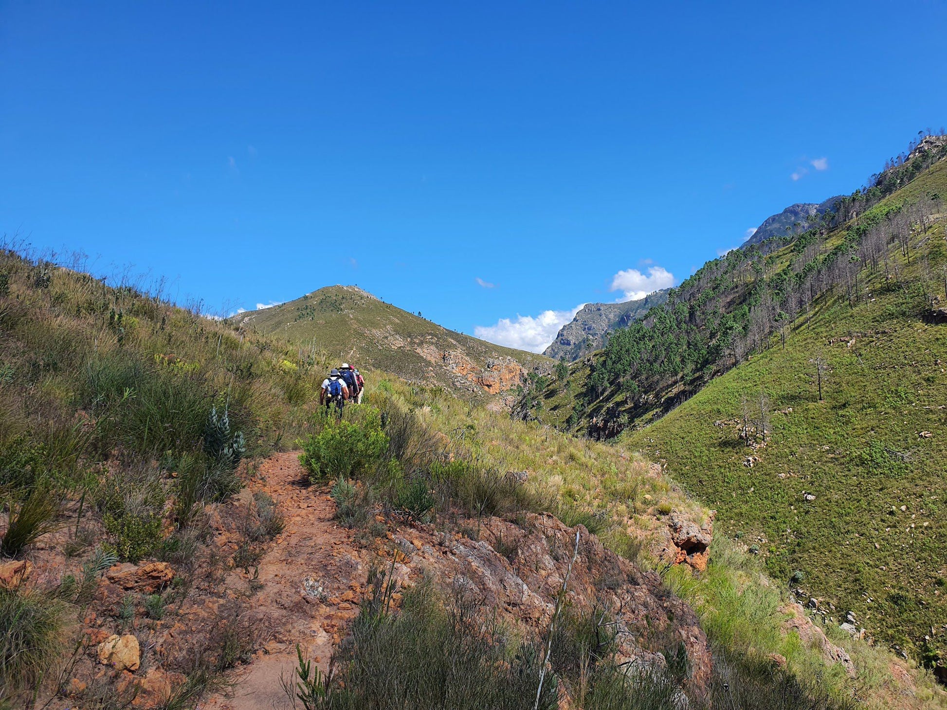  Greyton Nature Reserve - Start of Boesmanskloof Trail