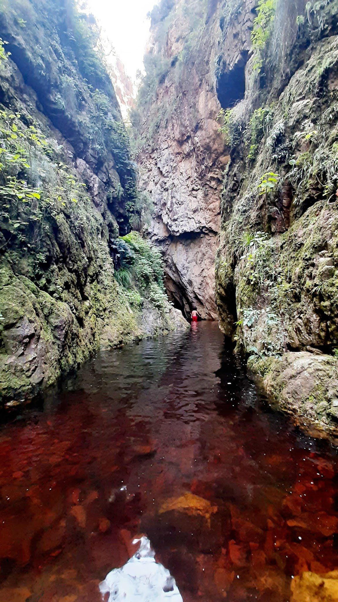  Greyton Nature Reserve - Start of Boesmanskloof Trail