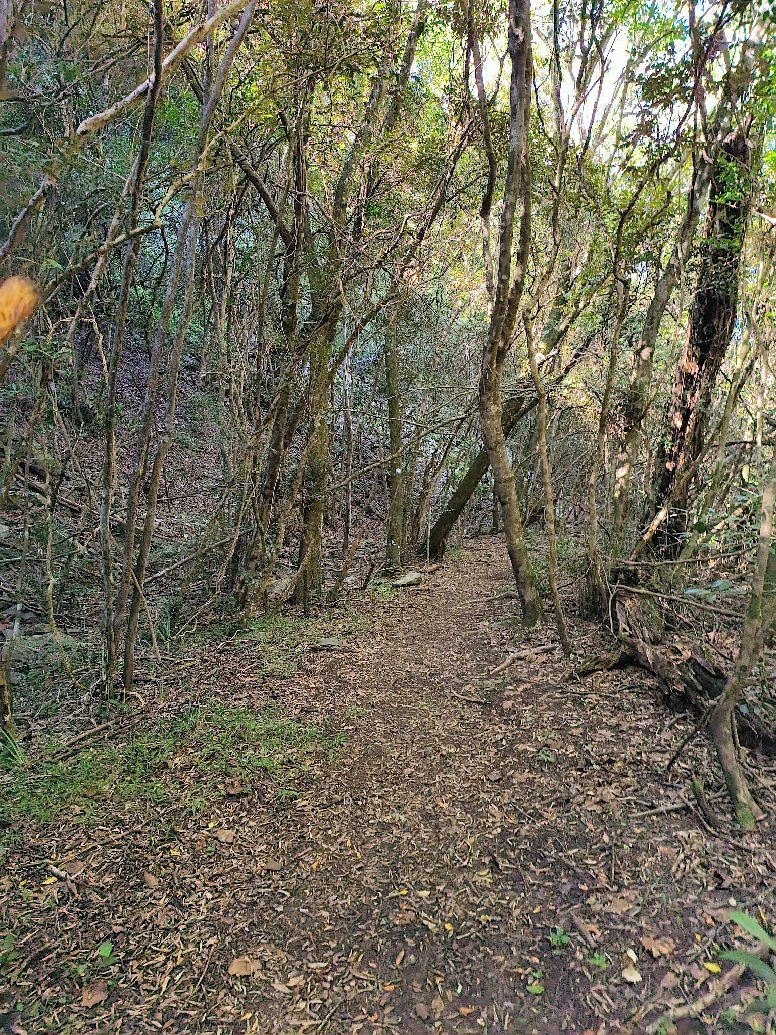  Groendal Nature Reserve