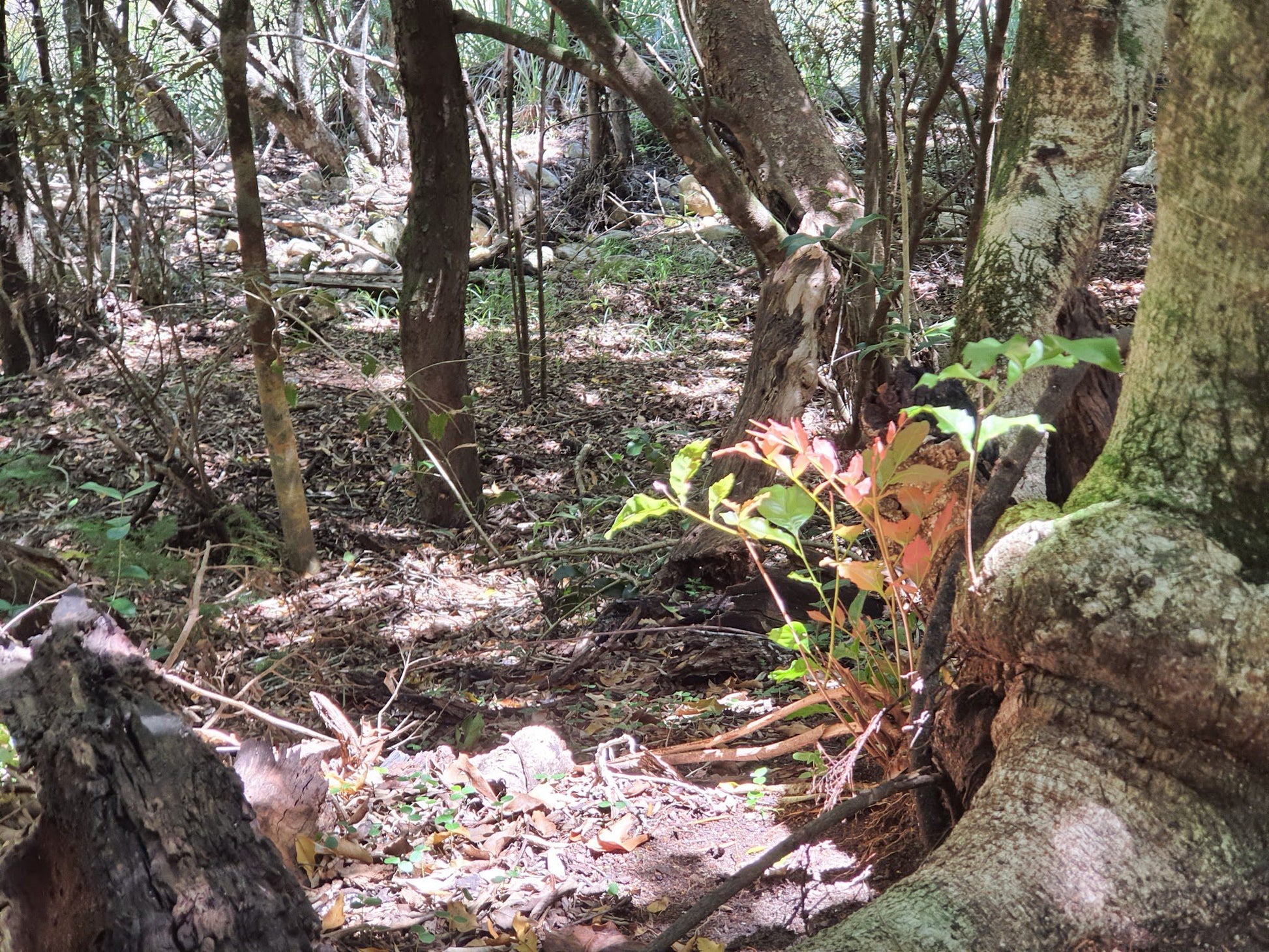  Groendal Nature Reserve