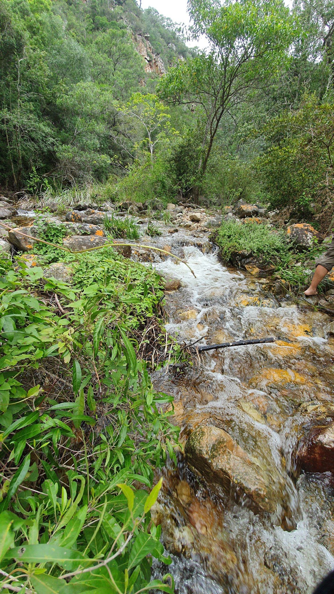  Groendal Nature Reserve