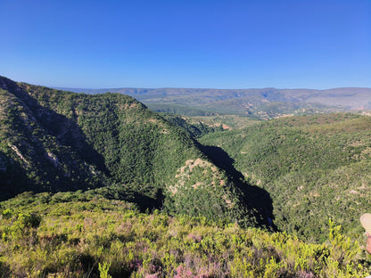  Groendal Nature Reserve