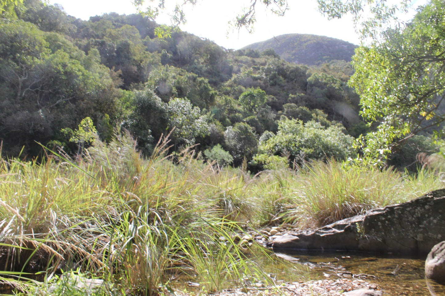  Groendal Nature Reserve