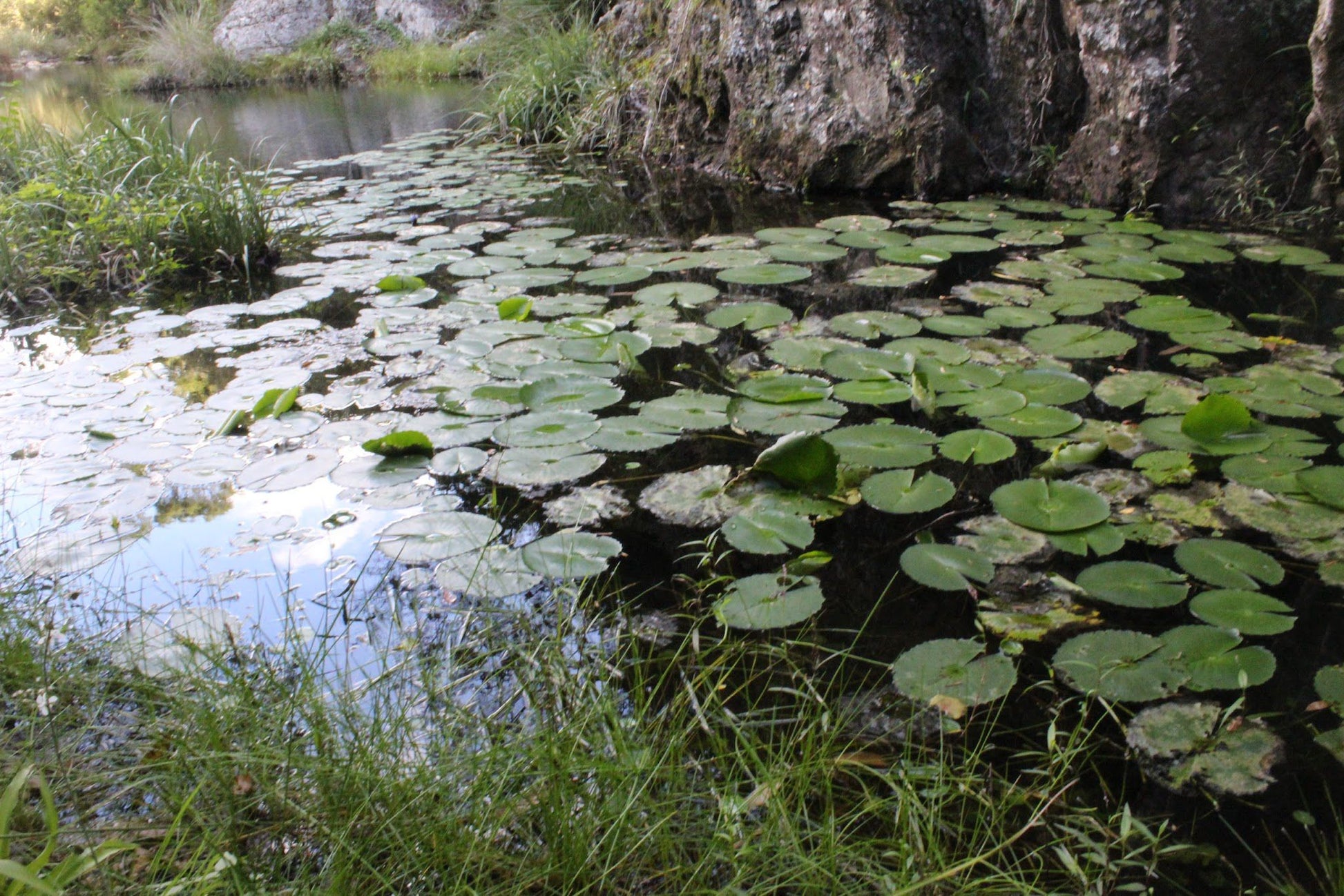  Groendal Nature Reserve