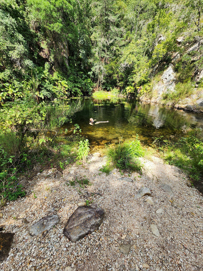  Groendal Nature Reserve