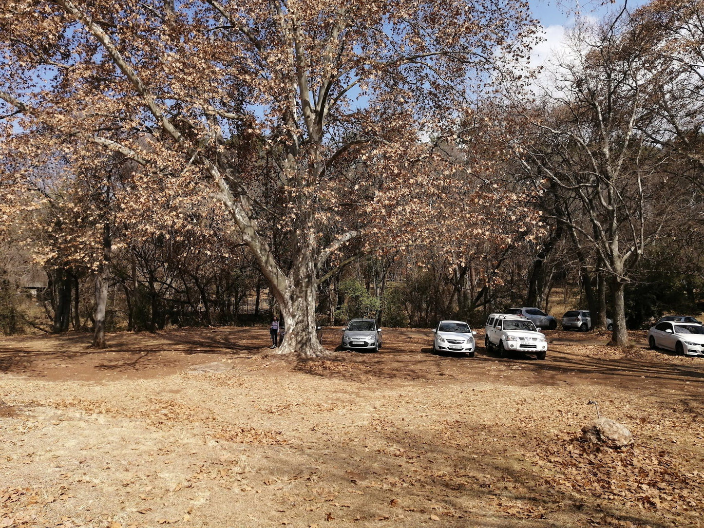  Groenkloof Nature Reserve