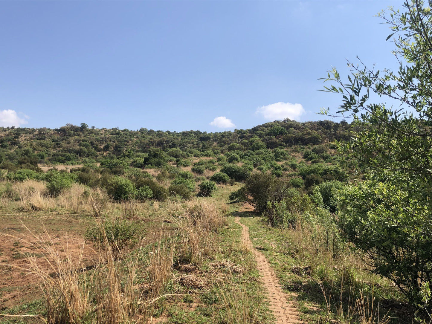  Groenkloof Nature Reserve