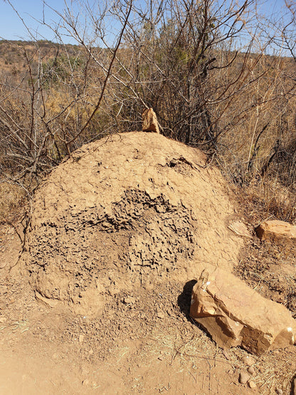  Groenkloof Nature Reserve