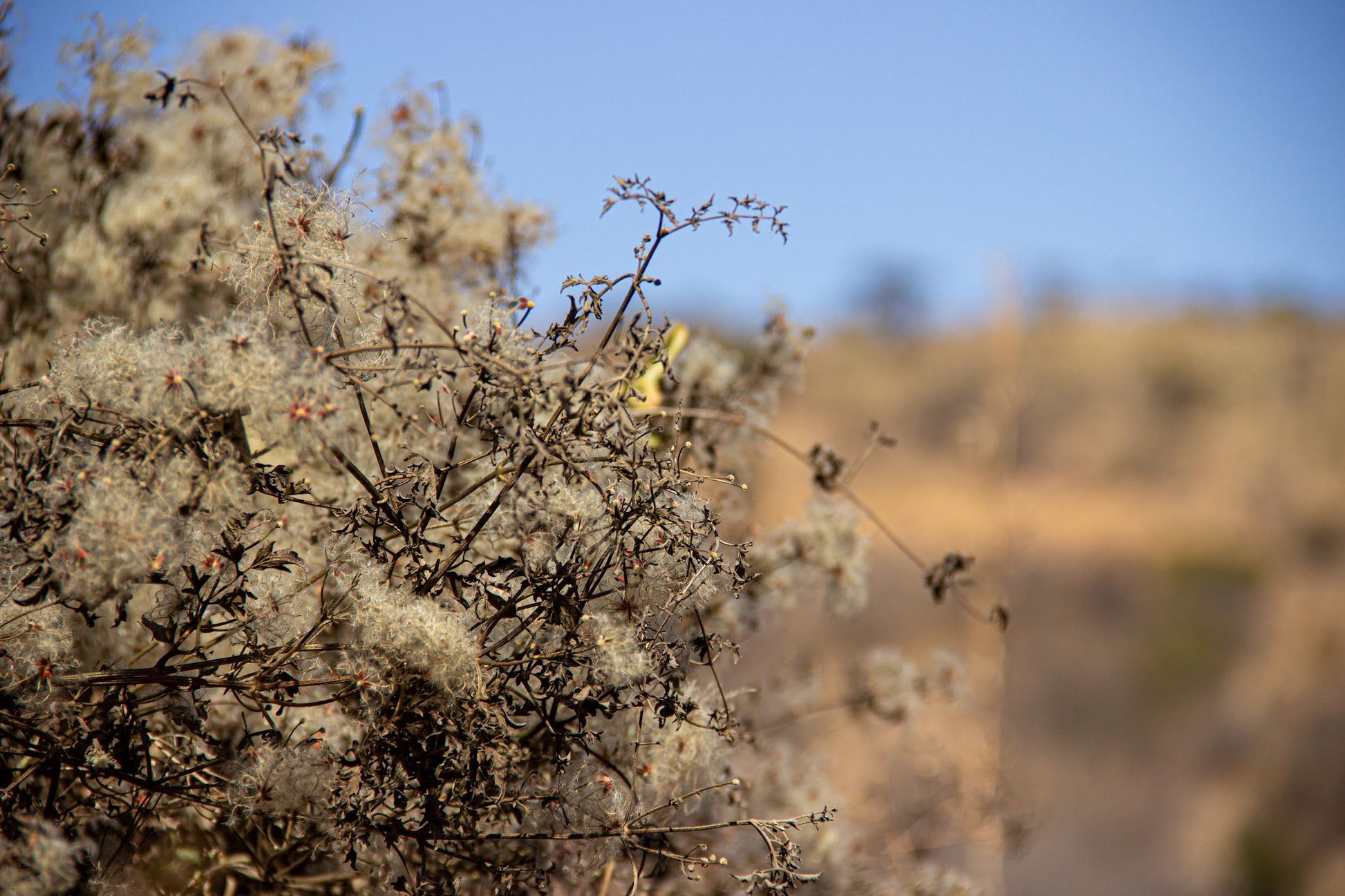  Groenkloof Nature Reserve