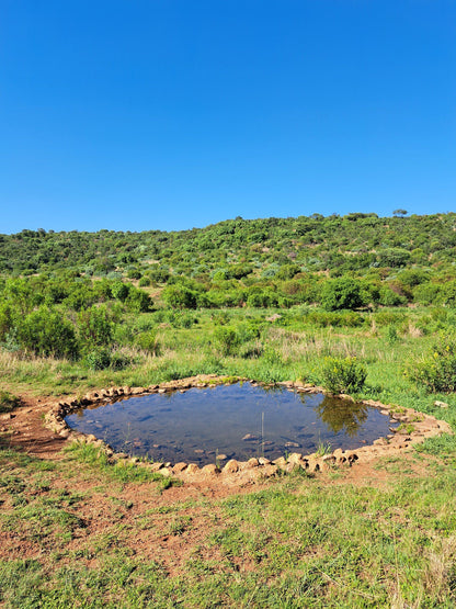  Groenkloof Nature Reserve