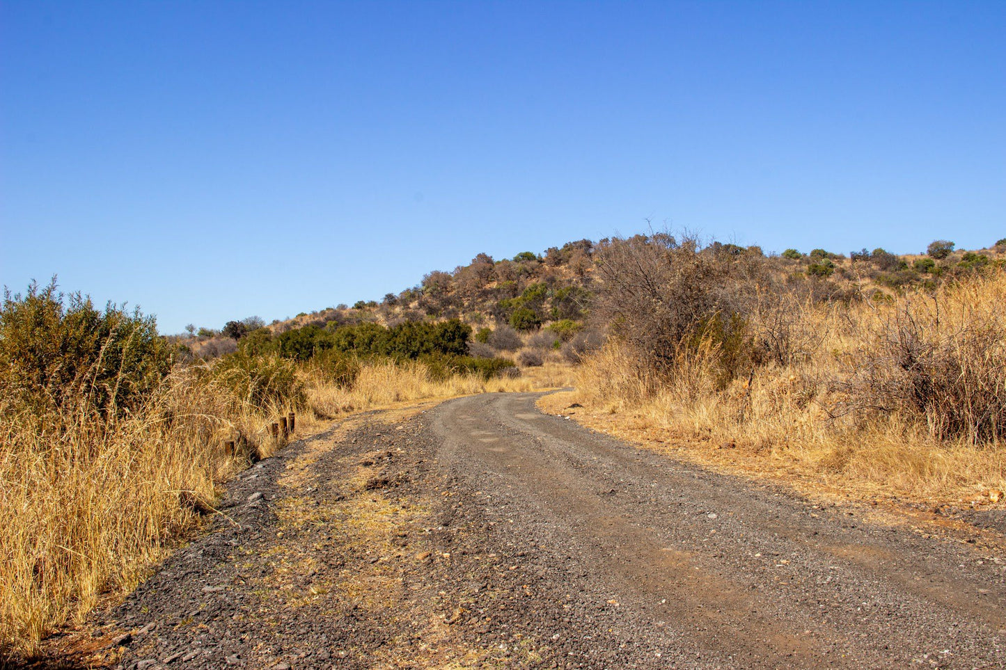  Groenkloof Nature Reserve