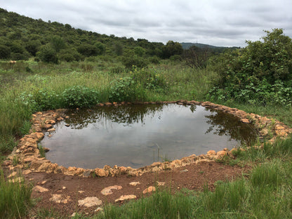  Groenkloof Nature Reserve