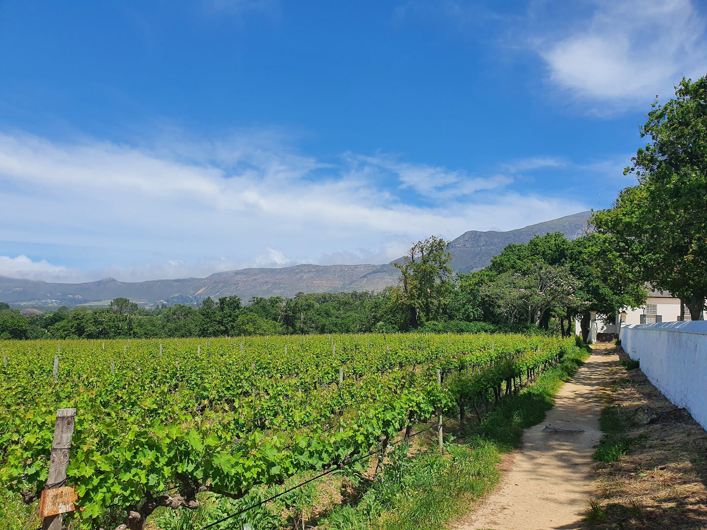  Groot Constantia-Trust