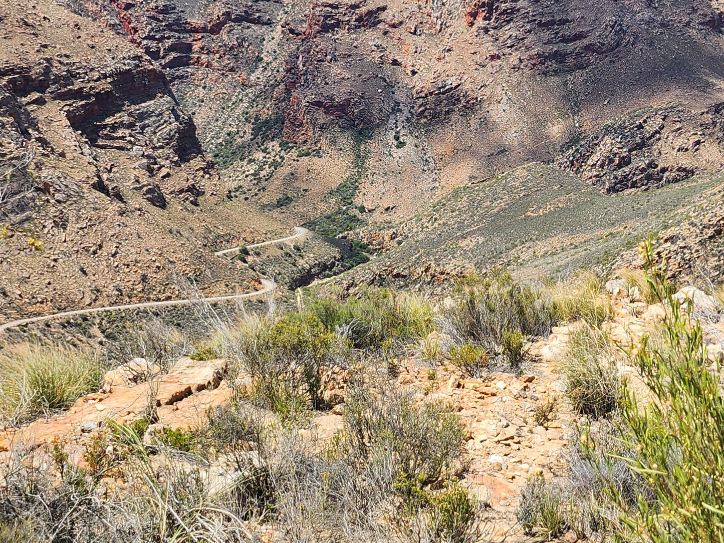  Groot Swartberg Nature Reserve