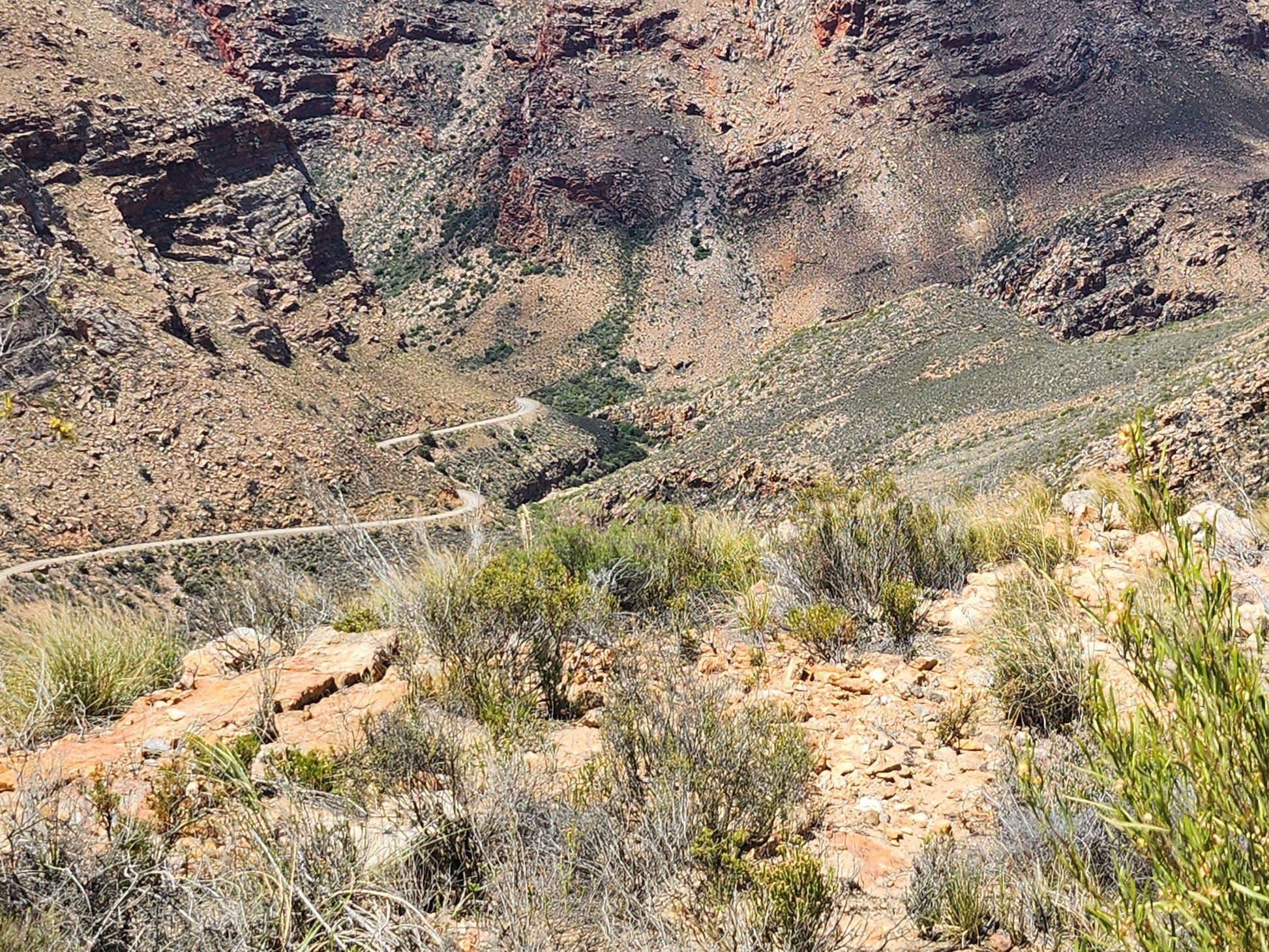  Groot Swartberg Nature Reserve