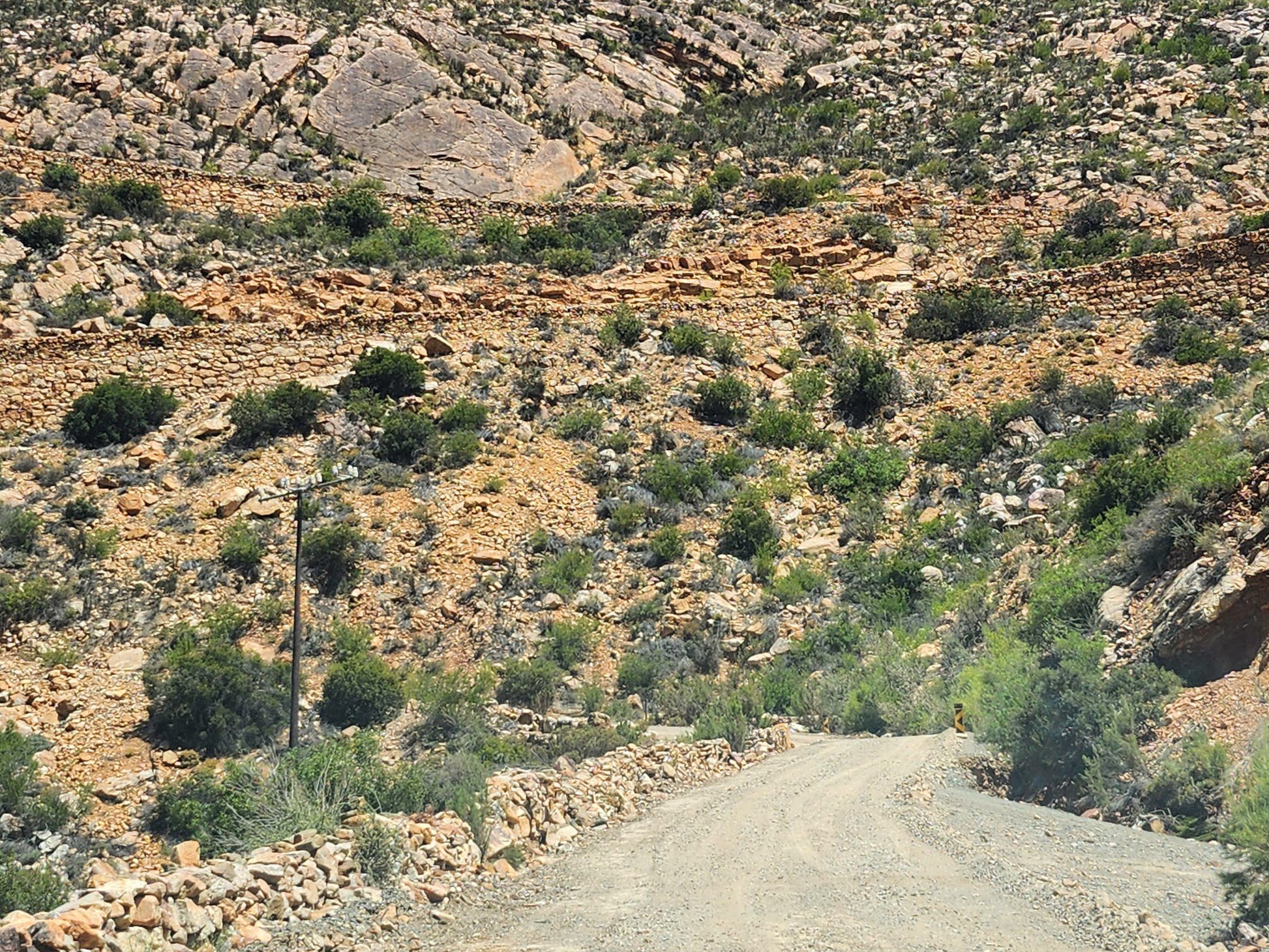  Groot Swartberg Nature Reserve