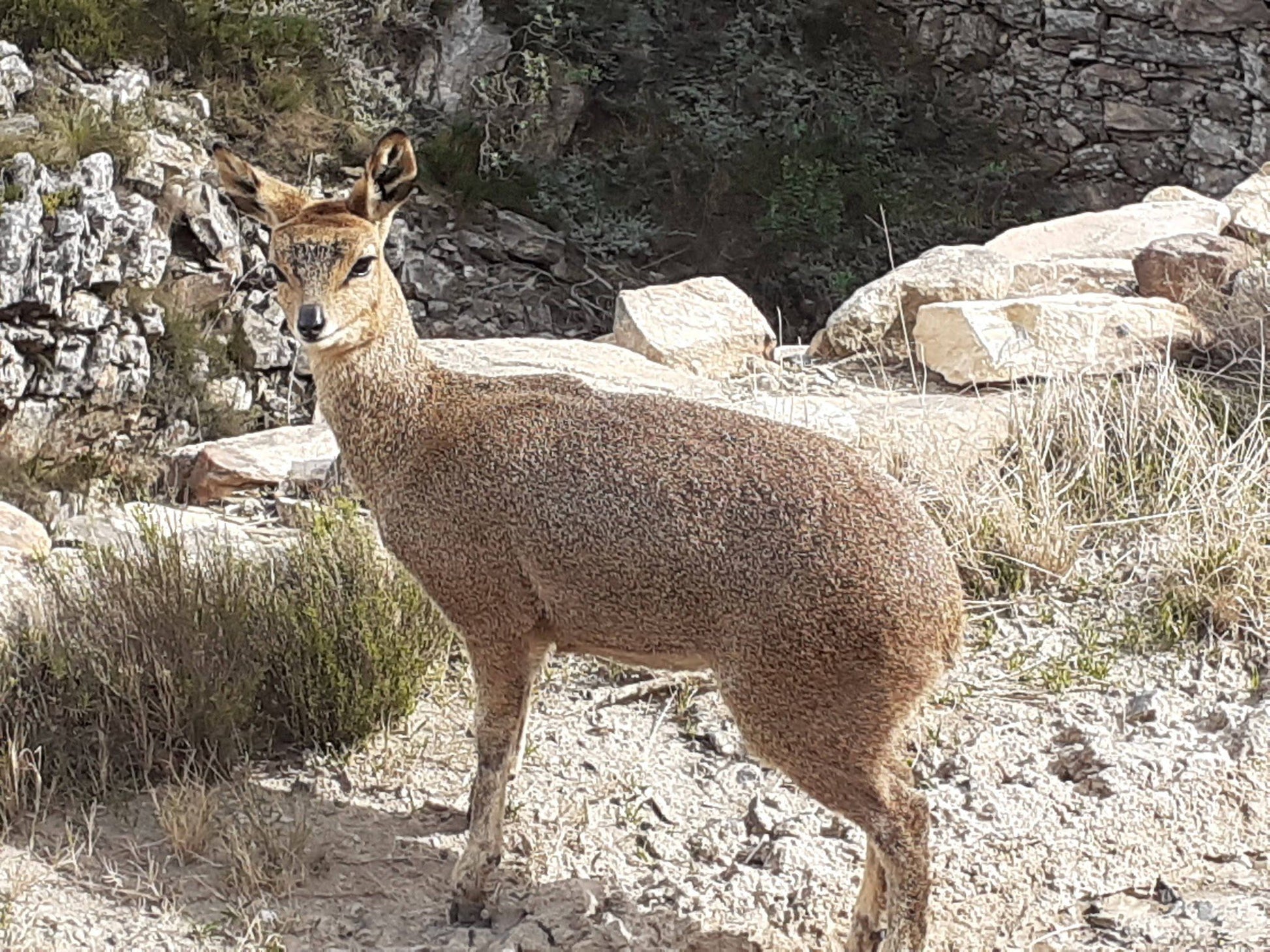  Groot Swartberg Nature Reserve