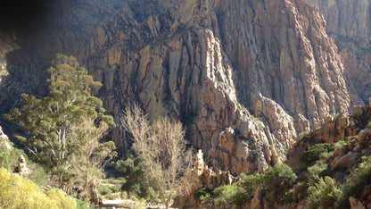  Groot Swartberg Nature Reserve