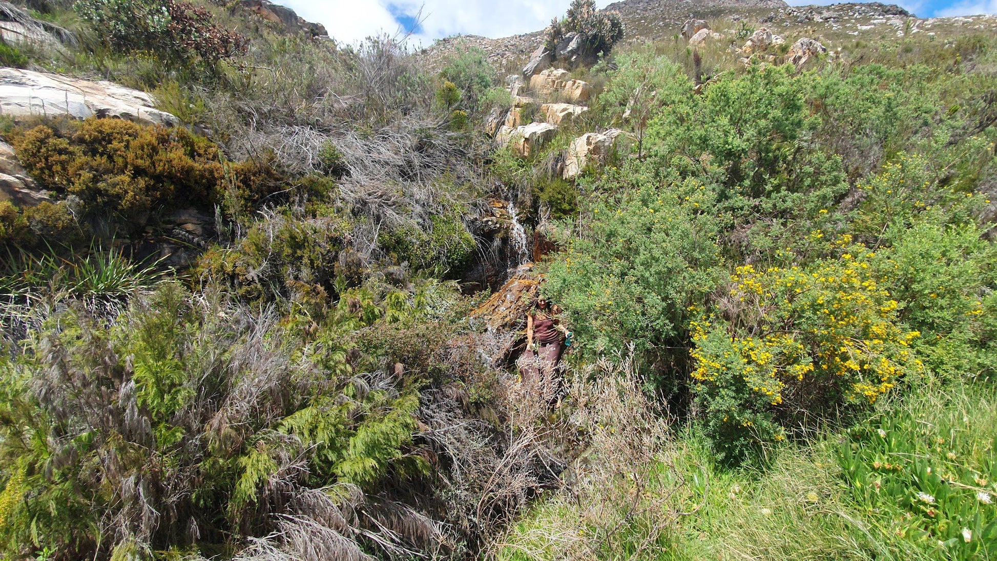  Groot Swartberg Nature Reserve