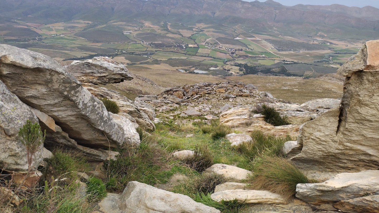  Groot Swartberg Nature Reserve