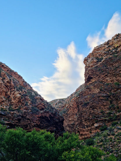  Groot Swartberg Nature Reserve