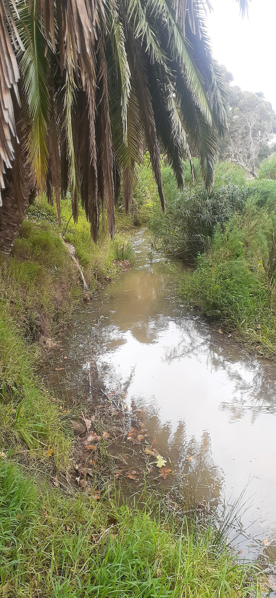 Grootboskloof River Walk