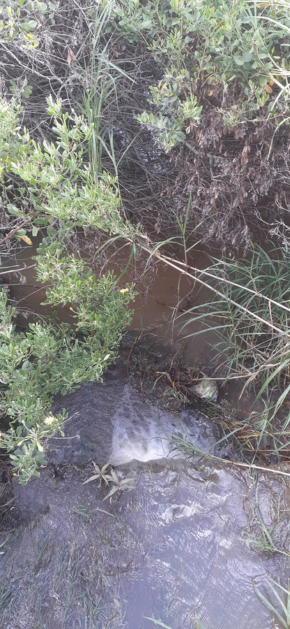 Grootboskloof River Walk