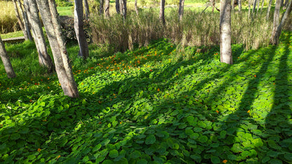 Grootboskloof River Walk