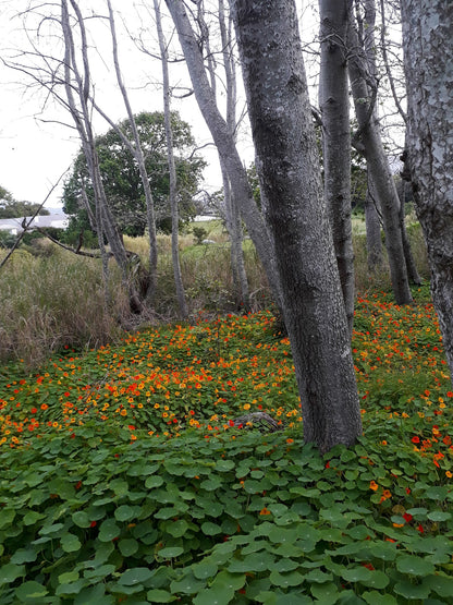 Grootboskloof River Walk