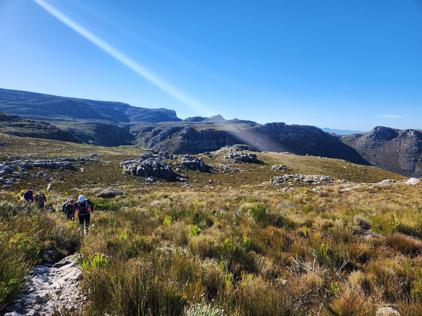 Grootkop