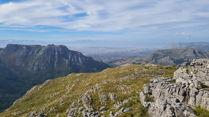 Grootkop