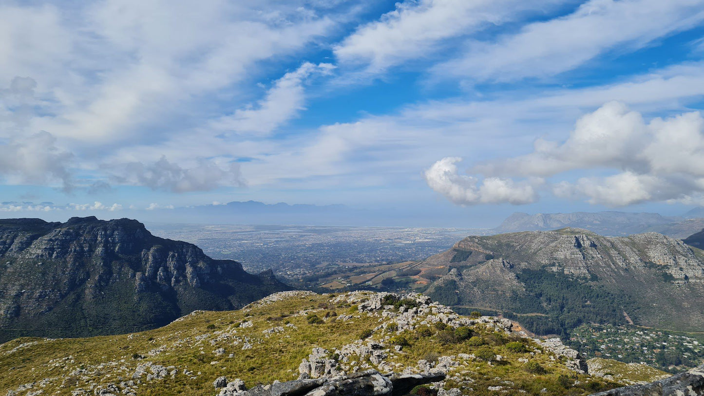 Grootkop