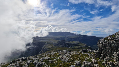 Grootkop