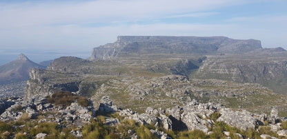 Grootkop