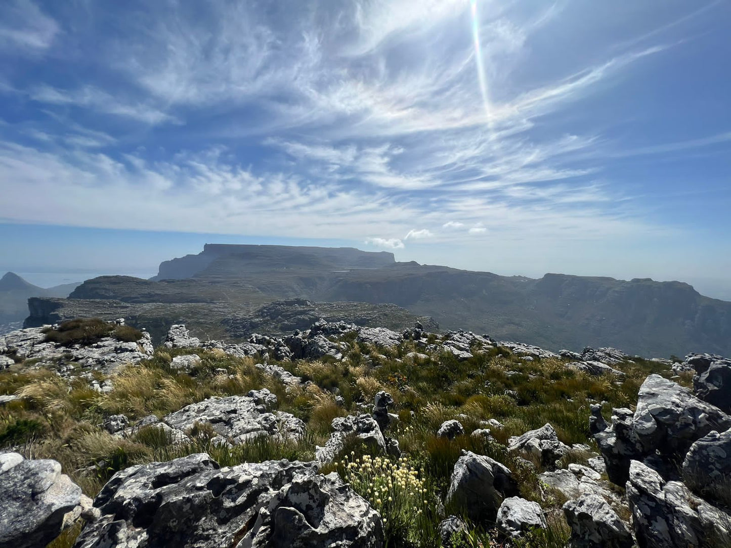 Grootkop