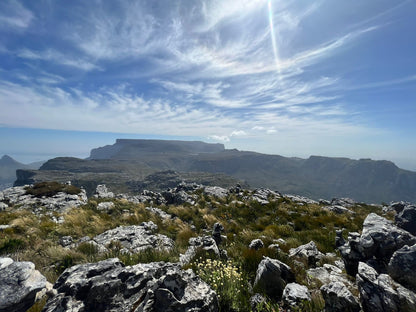 Grootkop