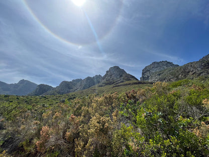 Grootkop