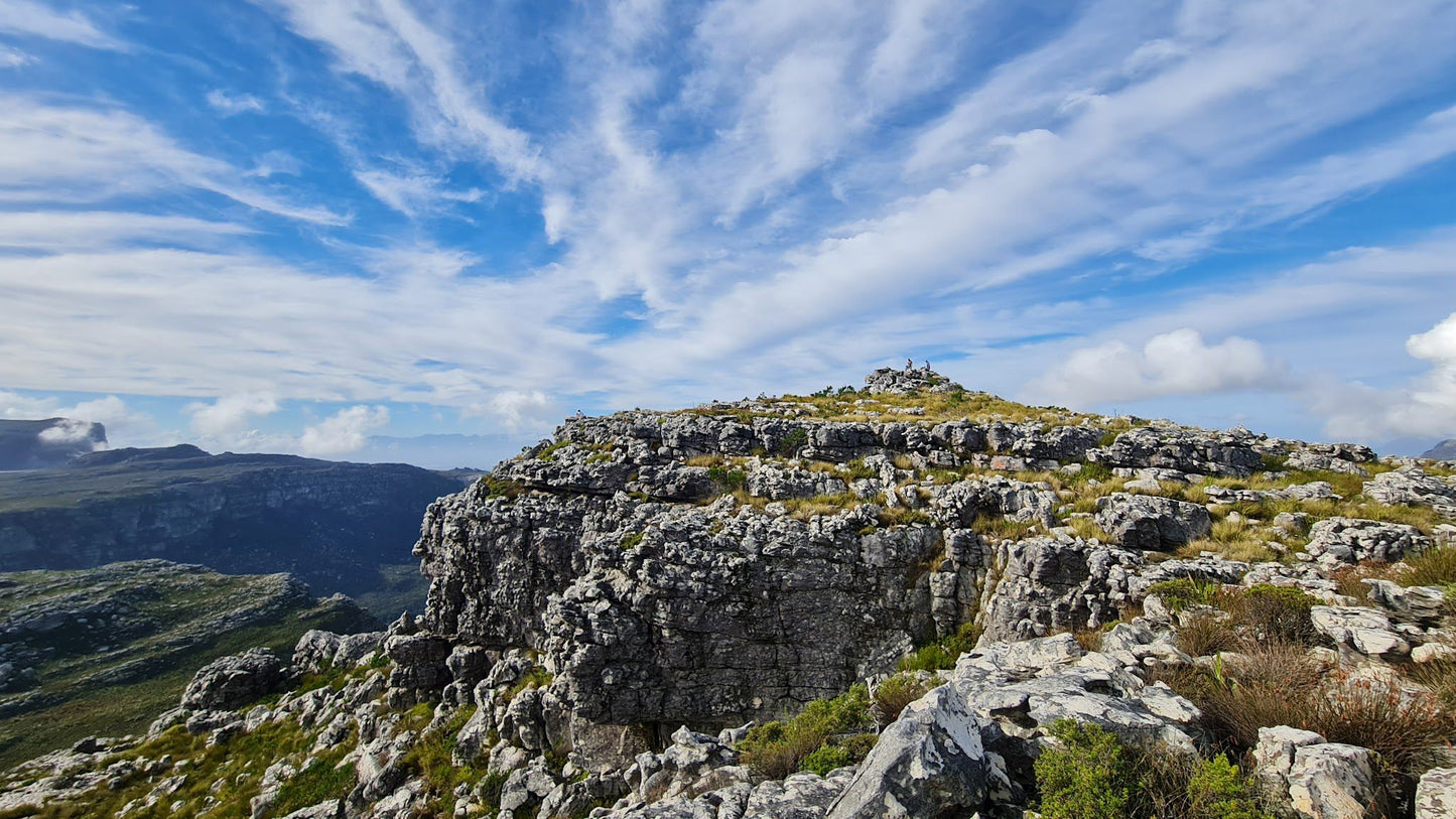 Grootkop