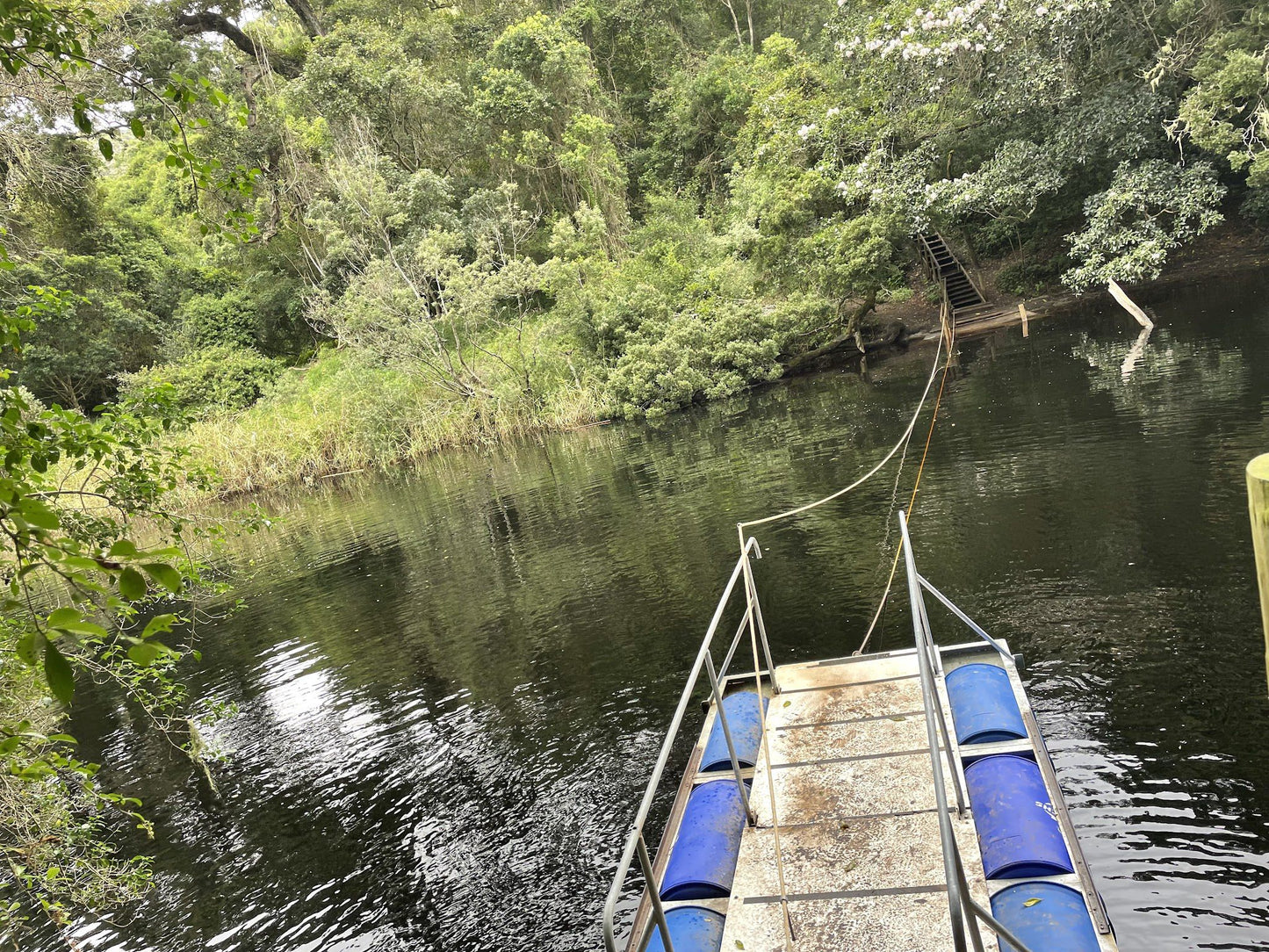  Half Collared Kingfisher Trail Gate (permit required)