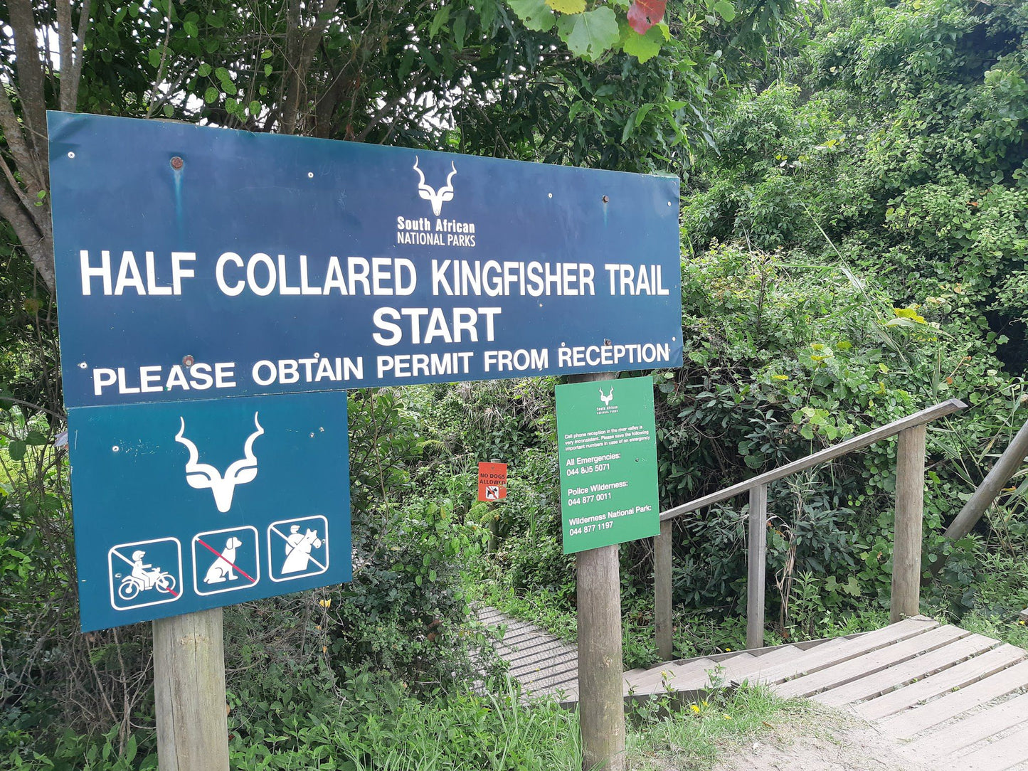  Half Collared Kingfisher Trail Gate (permit required)