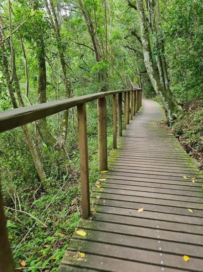  Half Collared Kingfisher Trail Gate (permit required)