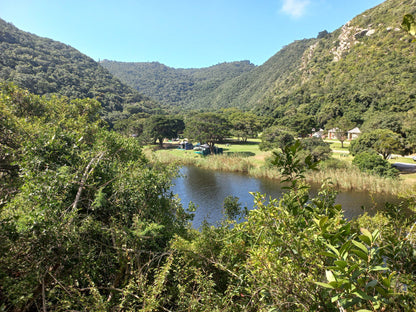  Half Collared Kingfisher Trail Gate (permit required)