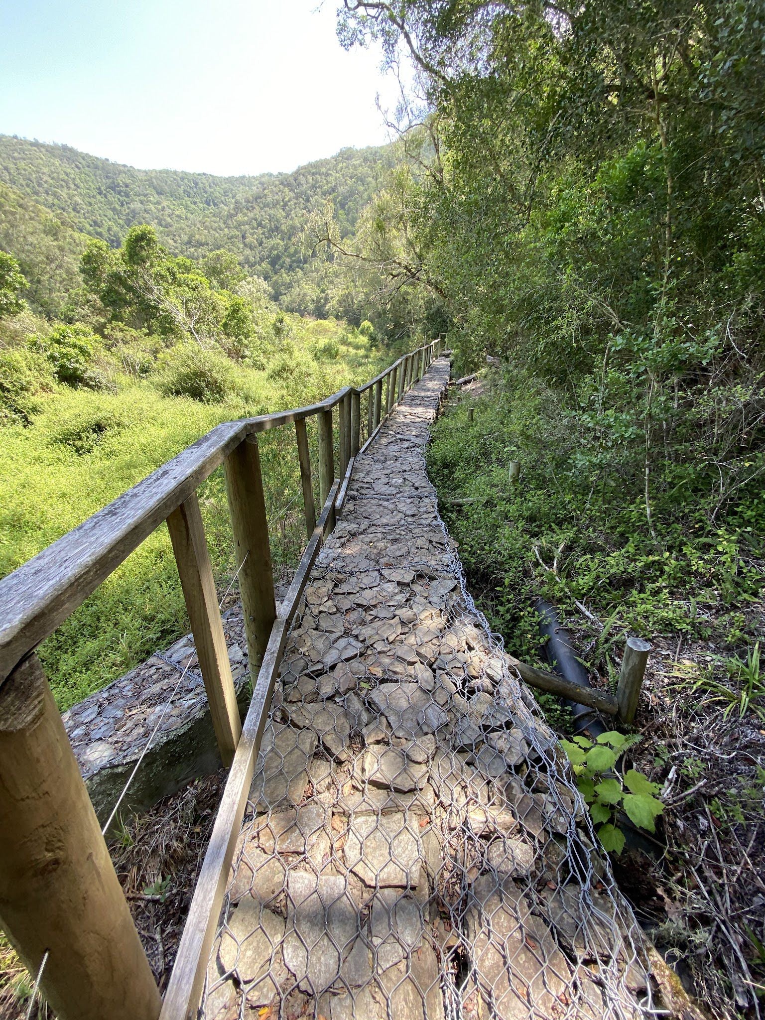  Half Collared Kingfisher Trail Gate (permit required)